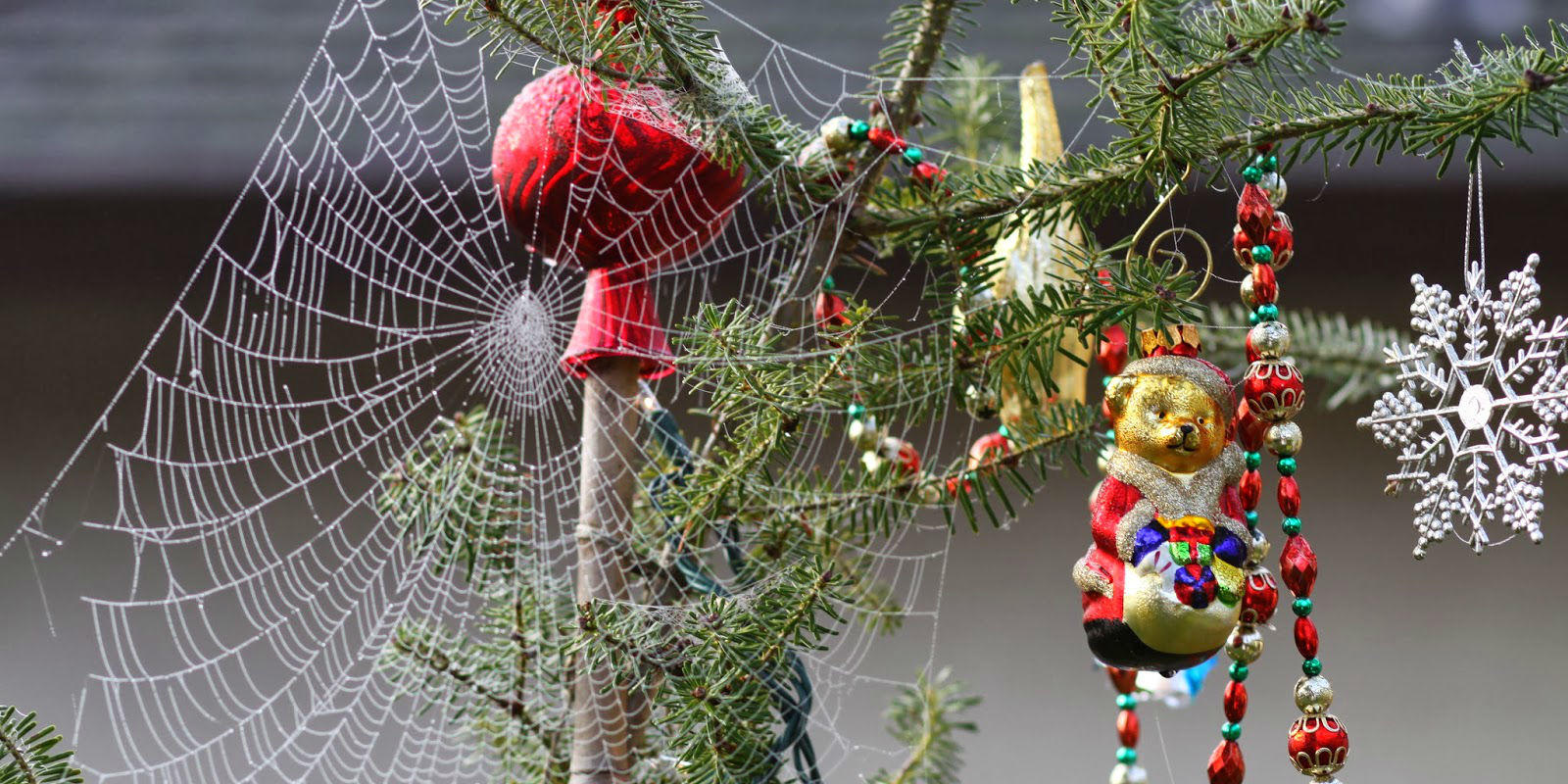 Image result for christmas ukraine spider